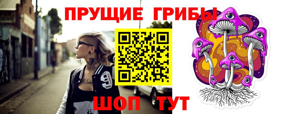 Галлюциногенные грибы Psilocybine cubensis Кировск